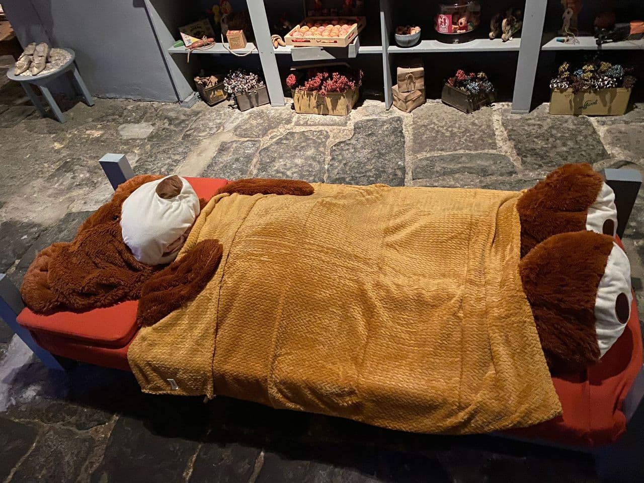 La storia dell’Orso senza nome