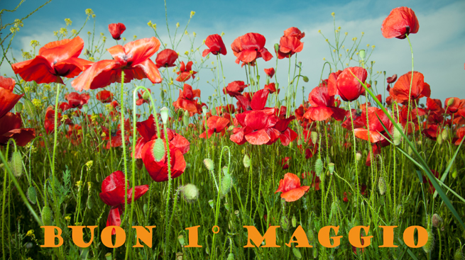 1° Maggio: Festa dei Lavoratori